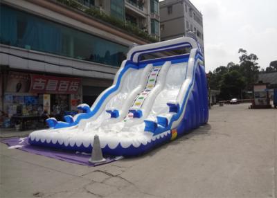 China Outdoor Double Dolphin Inflatable Backyard Water Slide With 9L X 4W X6H for sale
