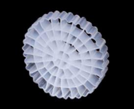 China Biodegradable ISO White Color HDPE MBBR In Wastewater Treatment 5mm for sale