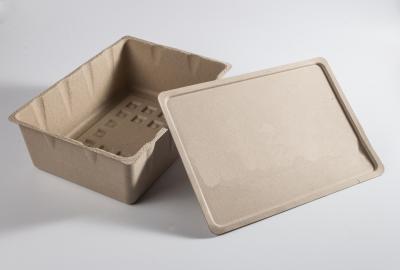 China a fibra de 1.5mm moldou o empacotamento biodegradável verde sustentável de empacotamento da polpa à venda