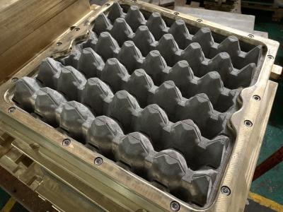 Chine Oeuf en plastique en laiton Tray Mold d'OEM 30 de moule de pulpe à vendre