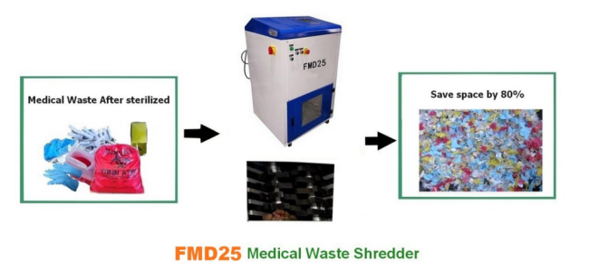 FMD25-2.png