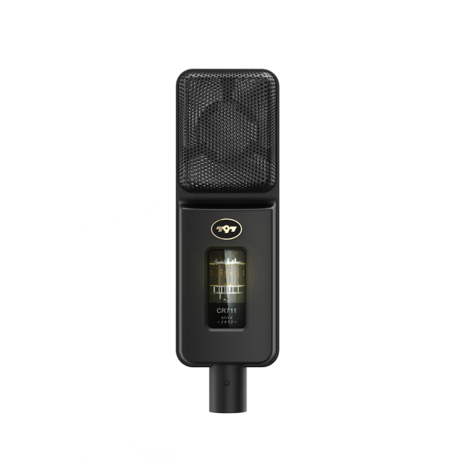 797AUDIO CR711 Professional Recording Noise Cancelling USB Electret Condenser Microphone