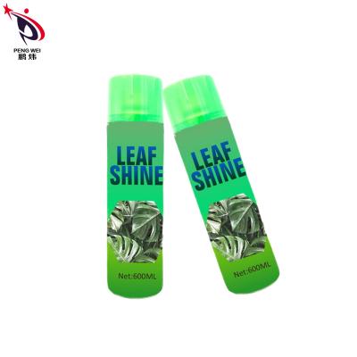 Chine Aérosol multifonctionnel non-toxique d'éclat de feuille, feuilles de Tin Plant Spray For Shiny à vendre