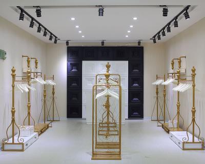 Chine Rayons de magasin d'habillement de femmes/couleur d'or au détail de systèmes d'affichage d'habillement à vendre