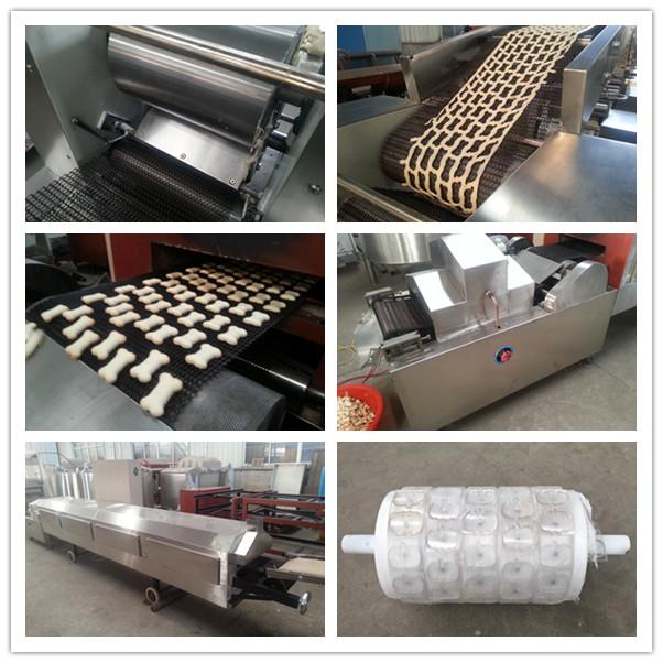 dog biscuit machine Pet Biscuit Production Line