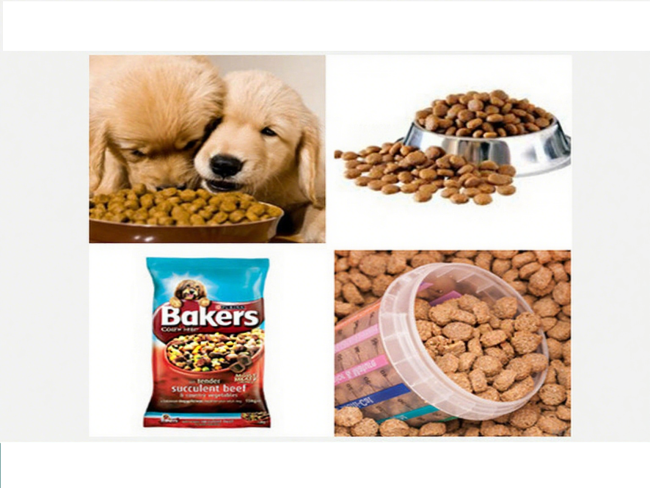 Stainless Steel 304 Cat Food Machine / dry Pet snacks extruder machine