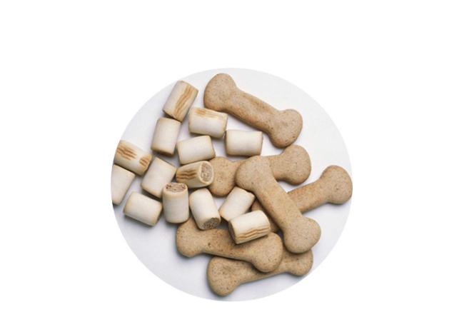 Stainless Steel Material Single/Double Color Pet Biscuit Making Dog Snacks Processing Line