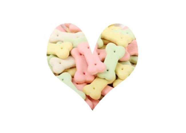 Stainless Steel Material Customized Color Pet Biscuit Making Dog Snacks Processing Line