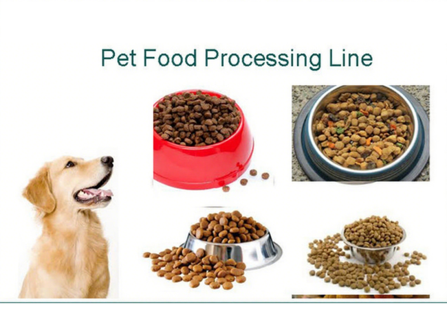 Automatic Cat Food Double Screw Processing Line dog food machine