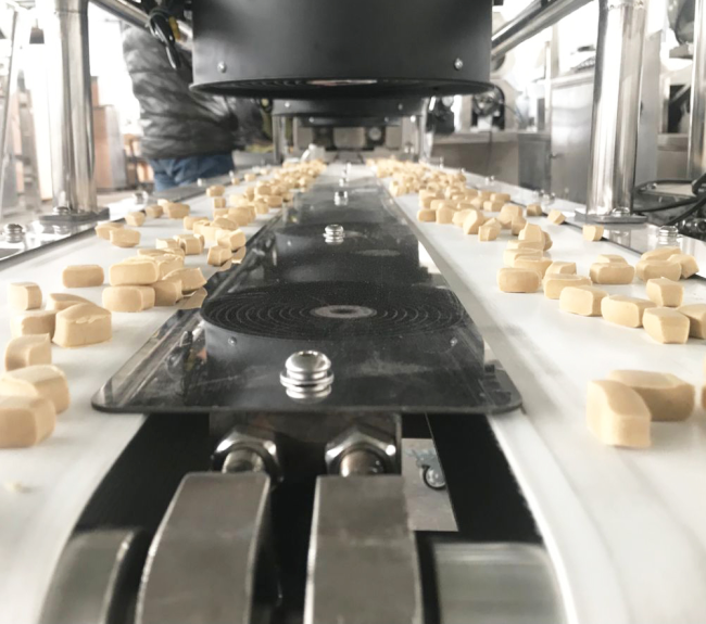 Natural Jerky Treats Pet Food Production Line