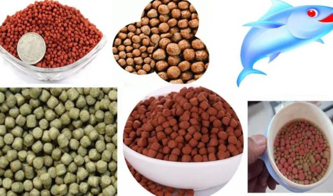 pet food machine
