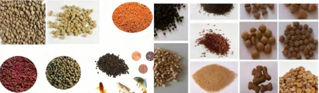 Final fish feed pellet product display
