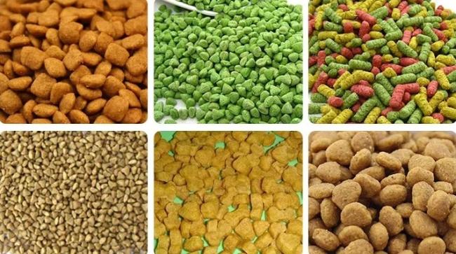 Various shaped fish feed products