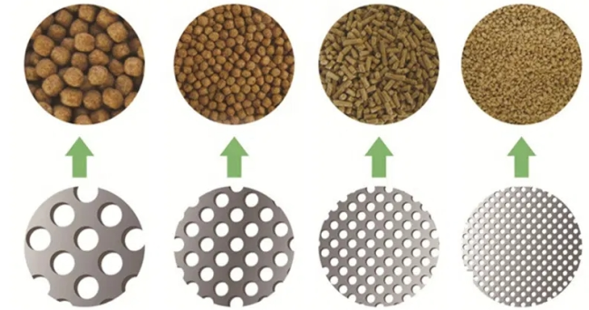 Final fish feed product samples
