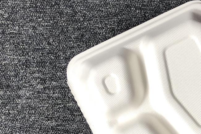 Biodegradable compostable sugarcane plant fiber dinnerware
