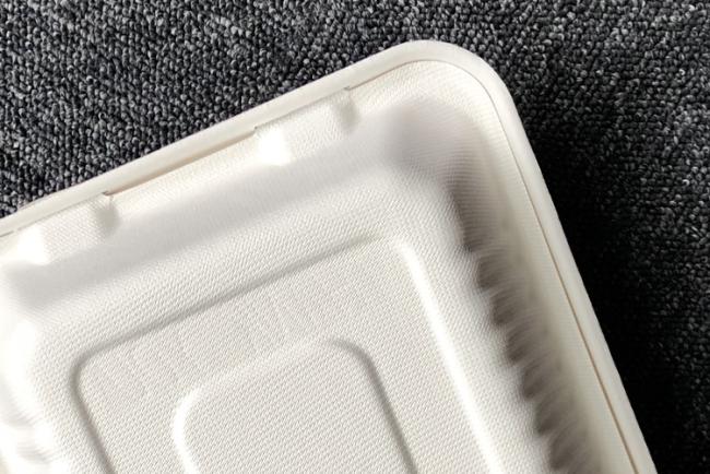 Biodegradable compostable sugarcane plant fiber dinnerware