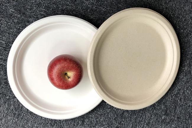 Biodegradable compostable sugarcane plant fiber dinnerware