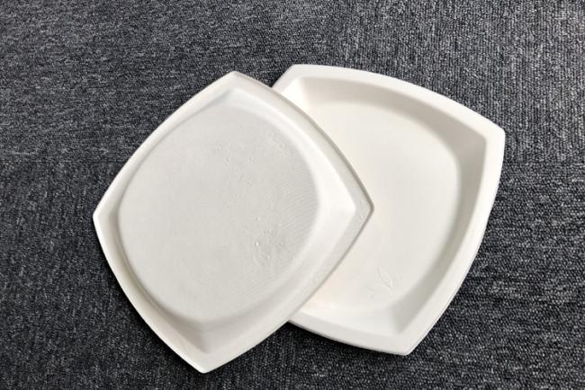 Biodegradable compostable sugarcane plant fiber dinnerware