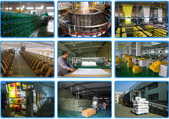 China factory pp plastic packaging woven colorful shopping bag exported to Africa best price