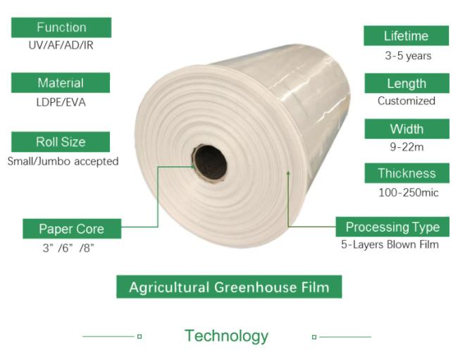 Cheap poly uv protection 200 micron greenhouse plastic film with factory price