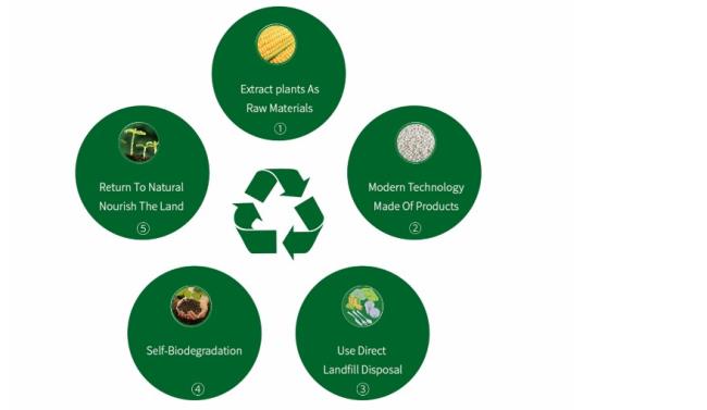 PLA Biodegradable transparent Stretch Wrap Cling Film