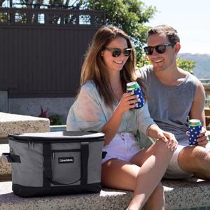 cooler, collapsible cooler, soft sided cooler, soft-sided cooler, cooler bag, ice chest