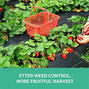 weed control gabric