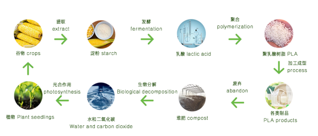 100% Biodegradable plant based PBAT PLA compostable stand up pouch kraft paper zip lock bags for clothes cosmetics makeu