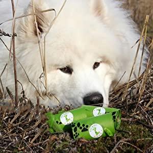 dog poo bags