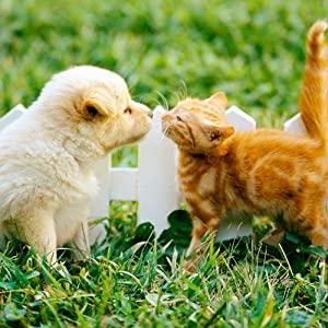 Dog Poop Bags for Dogs, Cats
