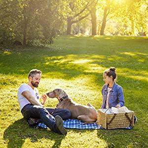 Poop Bags for Your Best Friends