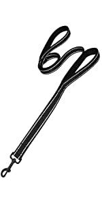 Dog Leash with Double Handle