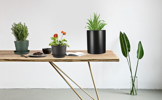 pots for plants