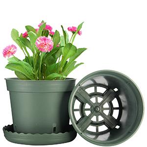 plant pots indoor