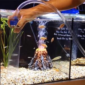 clear tubing