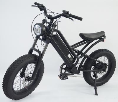 China Electric Bicycle 20 Inch Fat Tire for sale