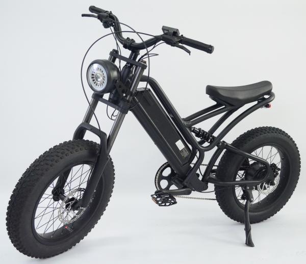 Quality Electric Bicycle 20 Inch Fat Tire for sale