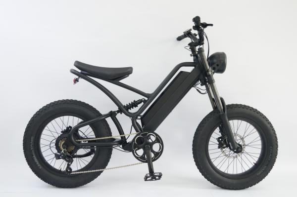 Quality 20 inch FAT Tires E-BIKE for sale