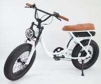 Quality Electric assisted bicycle for sale