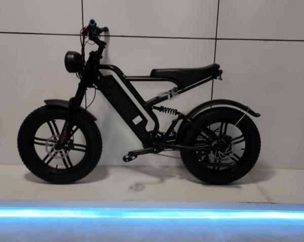 Quality 48V1000W Motor Electric Fat Bike  with Throttle  and torque sensor for sale