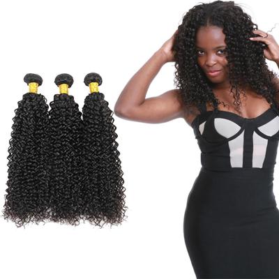 China 100 Unprocessed Virgin Curly Hair Bundles Natural Hair Line No Shedding for sale