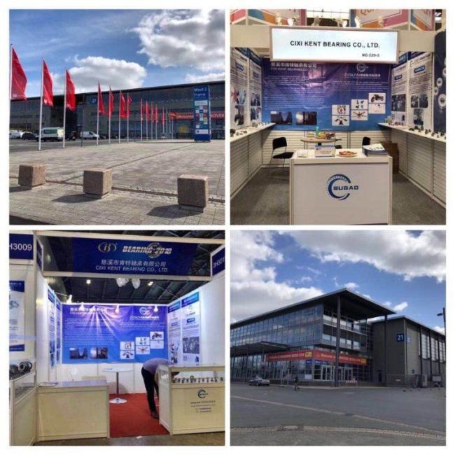 Cixi Householding Appliance 6202 6203 6301 6302 6303 6000 6001 Motor Bearing