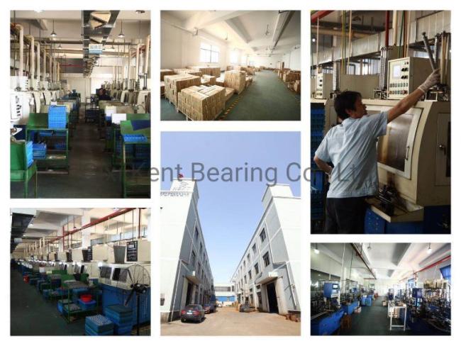 Special Bearing Series R16 2RS by China Bearing 1688 OEM ODM Manufacturer