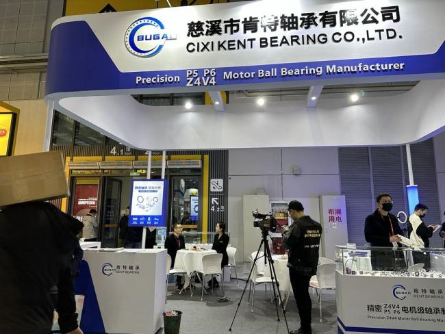 High Precision 6206 6207 6208 6209 6210 Zz 2RS Roller/ Ball Bearing Steel Material Bearing Specilize in Motor Bearing Over Many Years
