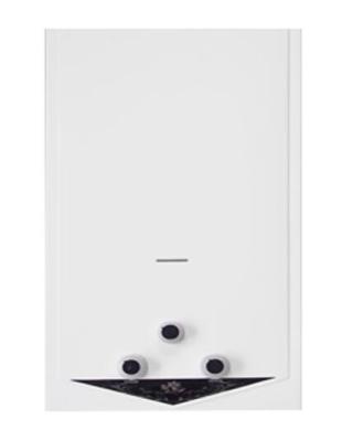 China Low Pressure Flue Type Instant Gas Water Heater High Reliability For Hot Water Supply for sale