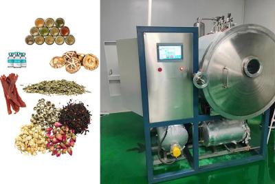 China Commercial Active Vegetable Freeze Dryer PLC Control System for sale