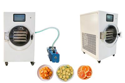 China Small Vacuum Home Freeze Dryer Machine Food 10KG Air Cooling for sale