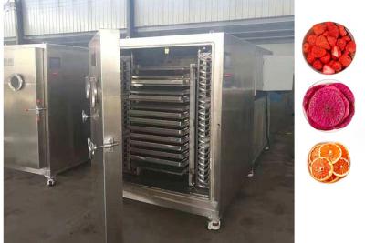 China Máquina de secado por congelación de alimentos y verduras de vacío de primera categoría en venta