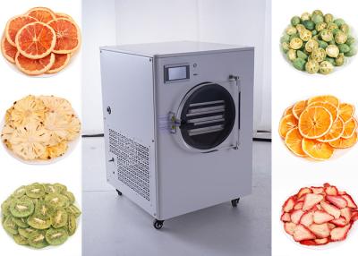 China Leche materna en el hogar Mini secador de congelación 10 kg/partido Control PLC en venta