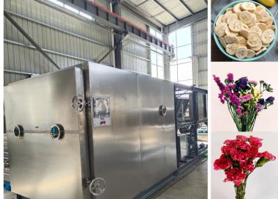 China Remote Control Food Vacuum Freeze Dryer Machine For Various Application for sale